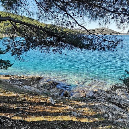 Villa Long Island Luxury Residence, Sali Dugi Otok-Private Parking,Next To Beach Esterno foto